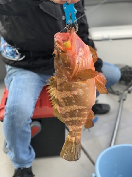 海人丸(うみんちゅまる) 釣果