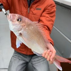 海人丸(うみんちゅまる) 釣果