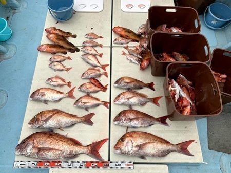 海人丸(うみんちゅまる) 釣果