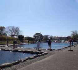 朝霞ガーデン 釣果