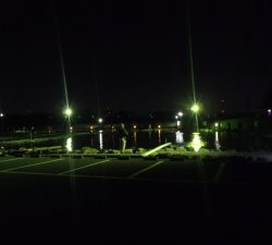 朝霞ガーデン 釣果