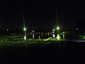 朝霞ガーデン 釣果