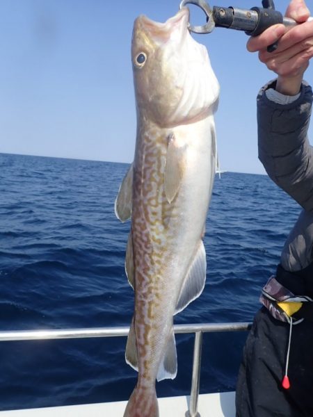 Aquanaut(アクアノート) 釣果