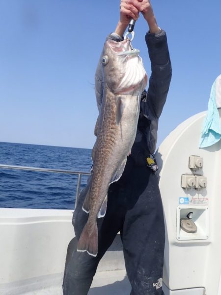 Aquanaut(アクアノート) 釣果