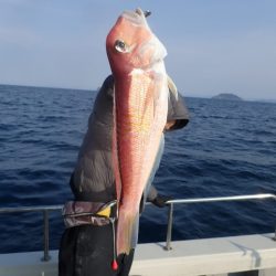 Aquanaut(アクアノート) 釣果