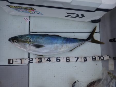 Aquanaut(アクアノート) 釣果