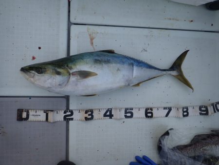 Aquanaut(アクアノート) 釣果