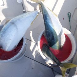 Aquanaut(アクアノート) 釣果