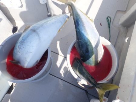 Aquanaut(アクアノート) 釣果