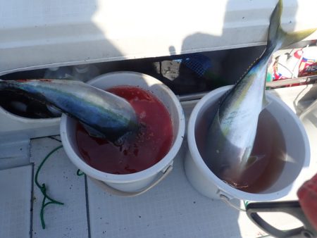 Aquanaut(アクアノート) 釣果