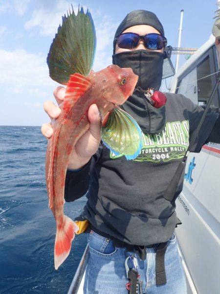 Aquanaut(アクアノート) 釣果