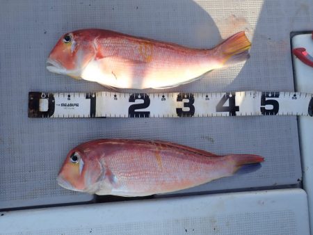 Aquanaut(アクアノート) 釣果