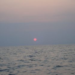 Aquanaut（アクアノート） 釣果