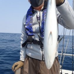 Aquanaut（アクアノート） 釣果