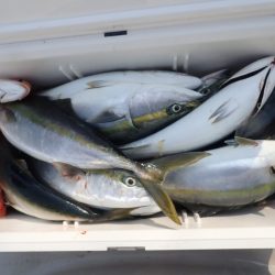 Aquanaut（アクアノート） 釣果