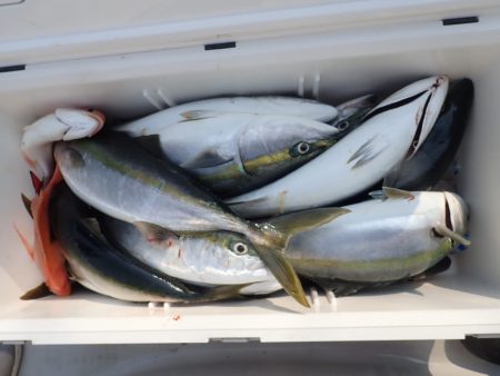 Aquanaut（アクアノート） 釣果