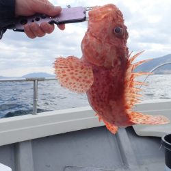 Aquanaut(アクアノート) 釣果