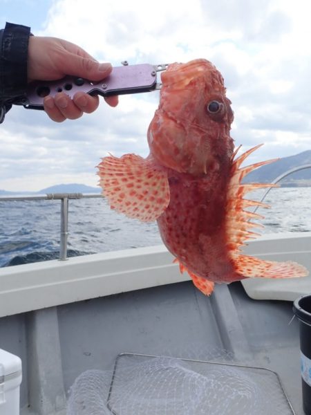 Aquanaut(アクアノート) 釣果