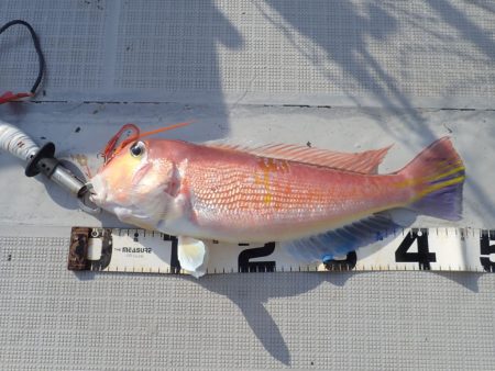 Aquanaut(アクアノート) 釣果