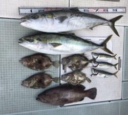 さぶろう丸 釣果