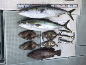 さぶろう丸 釣果