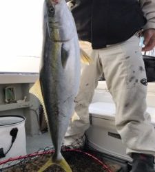 さぶろう丸 釣果