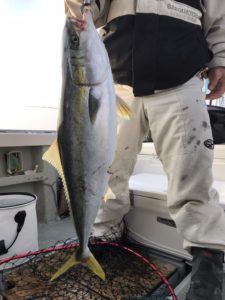 さぶろう丸 釣果