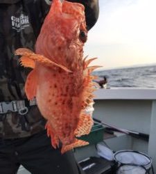 さぶろう丸 釣果