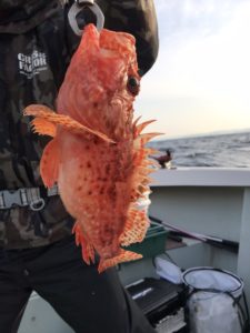 さぶろう丸 釣果