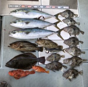 さぶろう丸 釣果
