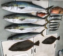 さぶろう丸 釣果