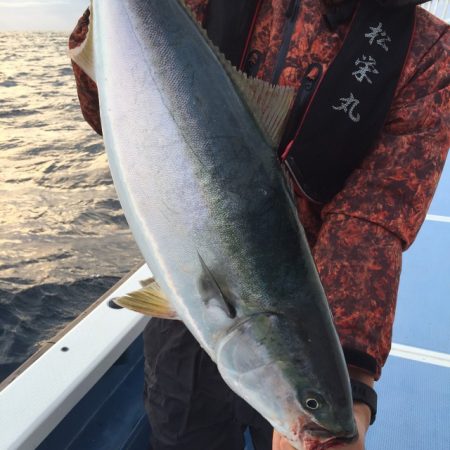 松栄丸 釣果