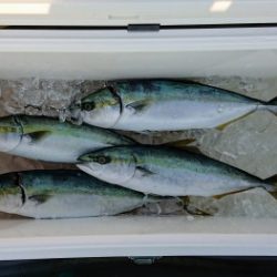 火遠理丸(ほおりまる) 釣果