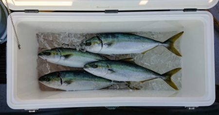 火遠理丸(ほおりまる) 釣果