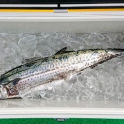 火遠理丸(ほおりまる) 釣果