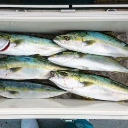 火遠理丸(ほおりまる) 釣果