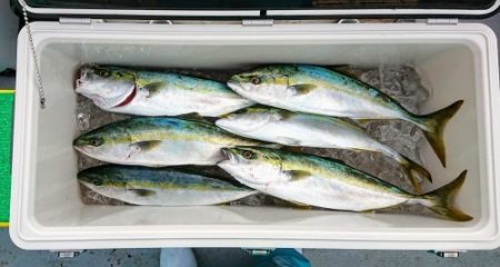 火遠理丸(ほおりまる) 釣果