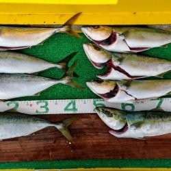 火遠理丸(ほおりまる) 釣果