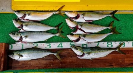 火遠理丸(ほおりまる) 釣果