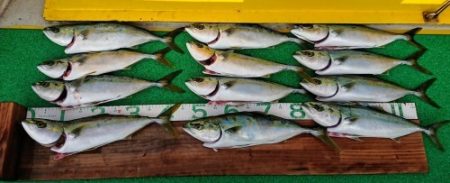 火遠理丸(ほおりまる) 釣果