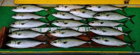 火遠理丸（ほおりまる） 釣果