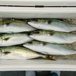 火遠理丸(ほおりまる) 釣果