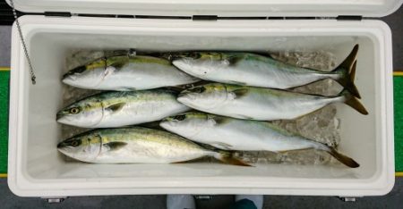 火遠理丸(ほおりまる) 釣果