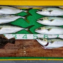 火遠理丸(ほおりまる) 釣果