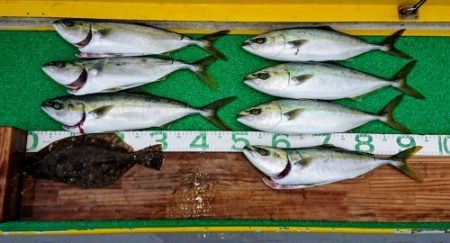 火遠理丸(ほおりまる) 釣果