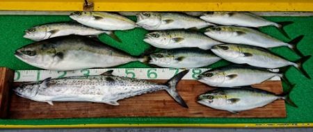 火遠理丸(ほおりまる) 釣果