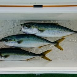 火遠理丸(ほおりまる) 釣果