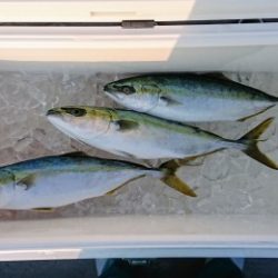 火遠理丸(ほおりまる) 釣果