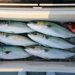 火遠理丸(ほおりまる) 釣果