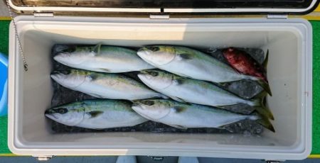 火遠理丸(ほおりまる) 釣果